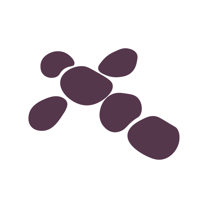 Logo Suite Schaack Bestattungen_Logo Icon Vollfarbe