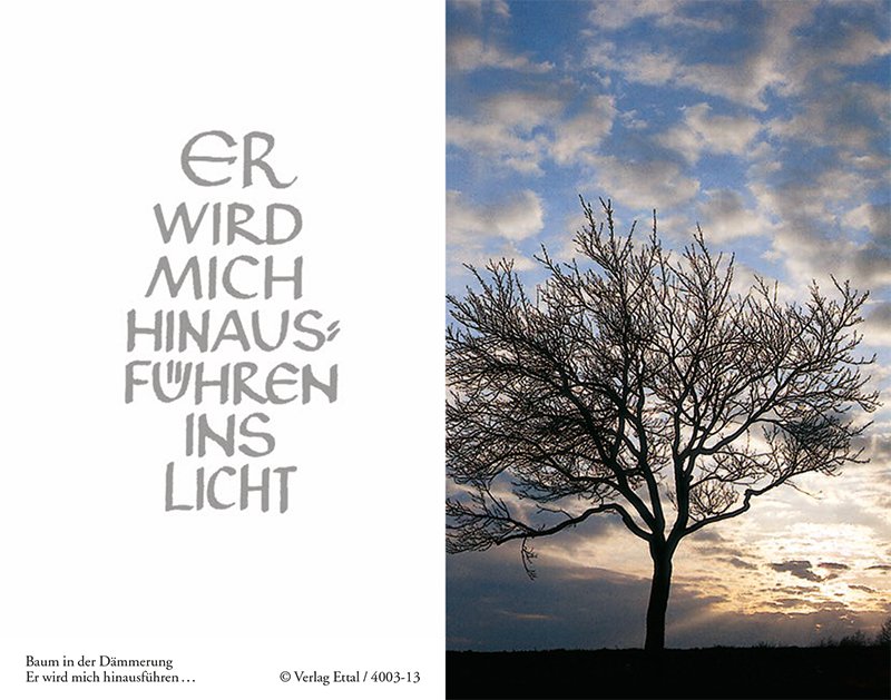 Trauerbild mit kahlem Baum in der Dämmerung und Schriftzug Er wird mich hinausführen ins Licht