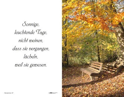 Trauerbild Ravenna mit Parkbank unter herbstlichem Baum