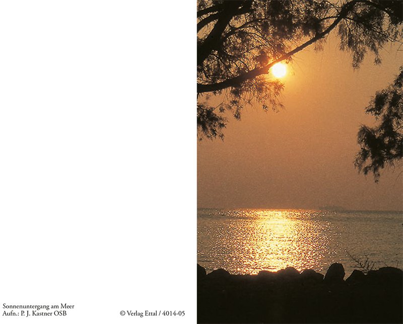 Trauerbild mit Sonnenuntergang über dem Meer und Zweigen im Vordergrund