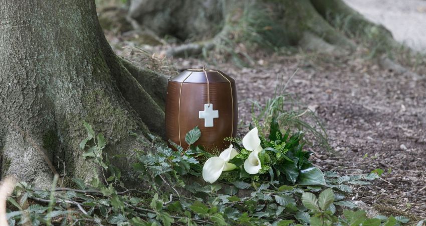 Urne an einem Baumstamm im Wald, daneben weiße Blüten